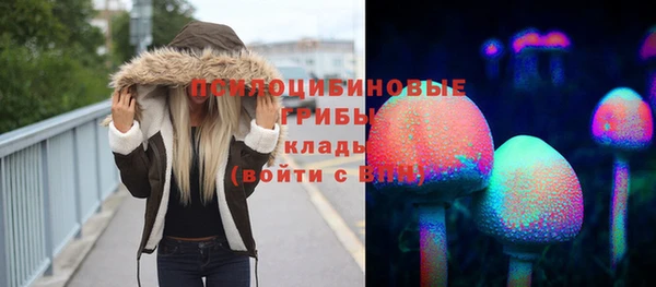 мет Алексин