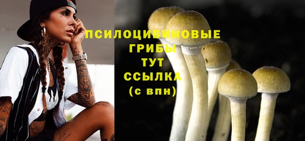 кокс Алексеевка
