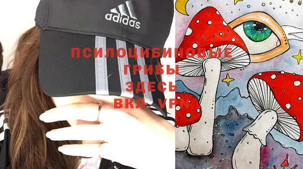 кокс Алексеевка