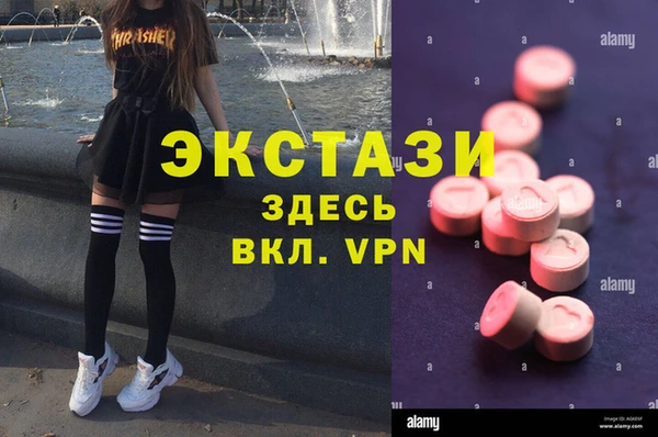 мет Алексин