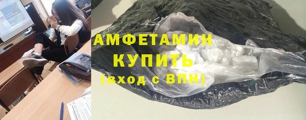 мет Алексин