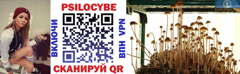 блэк спрут рабочий сайт  Кольчугино  Галлюциногенные грибы мицелий 